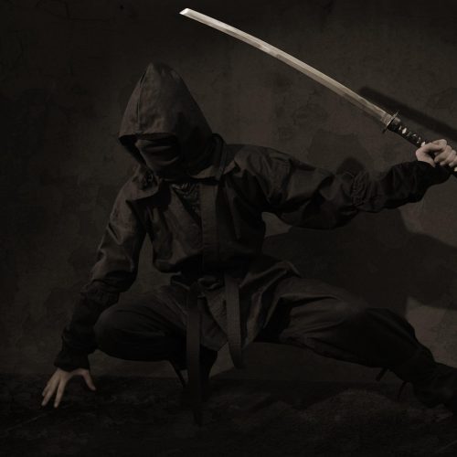 Ninjas: What Living with Post-Traumatic Stress Has in Common with B-Movies